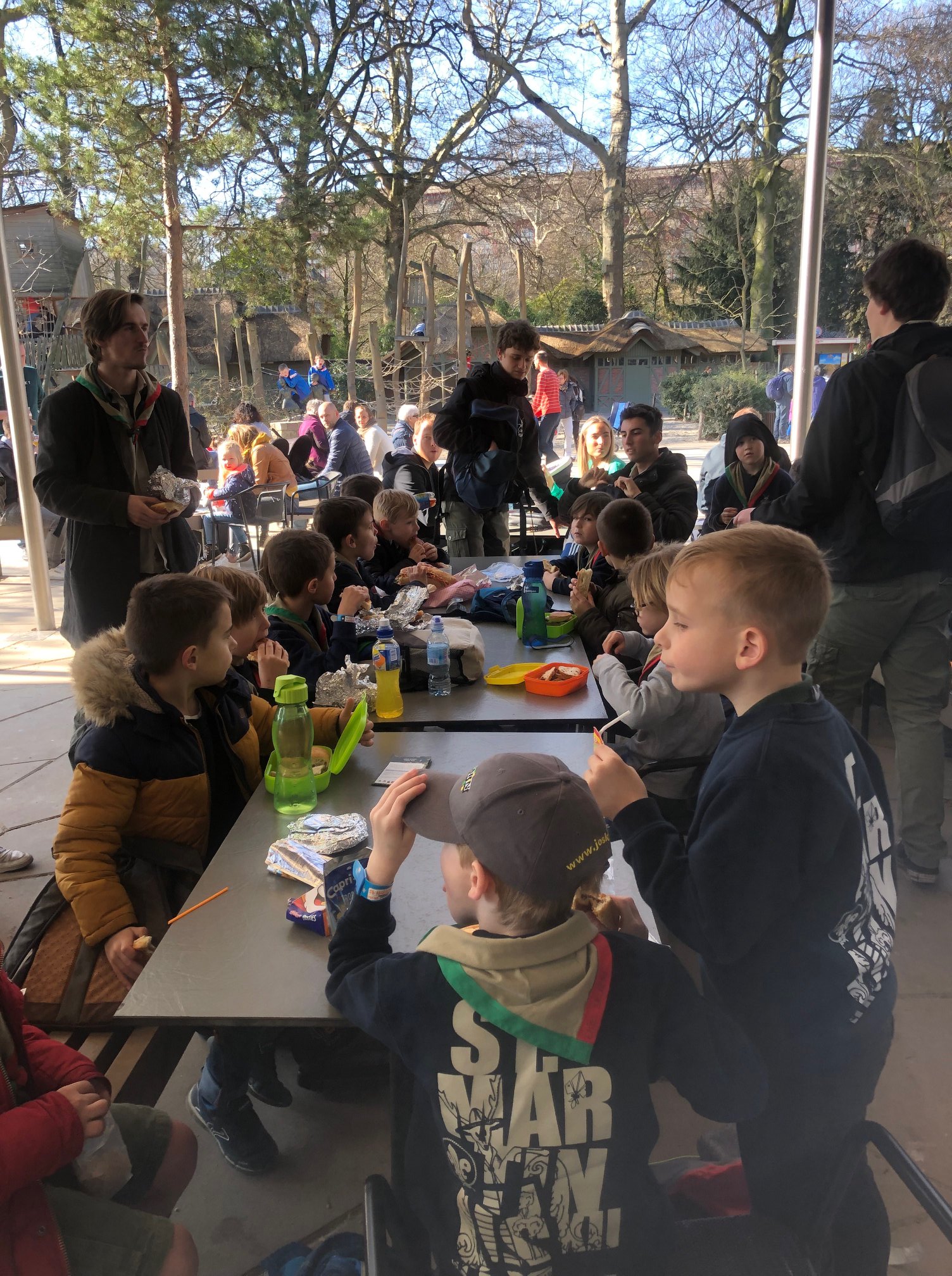 Sint-Martinus den XIIde - Zoo Antwerpen Kapoenen